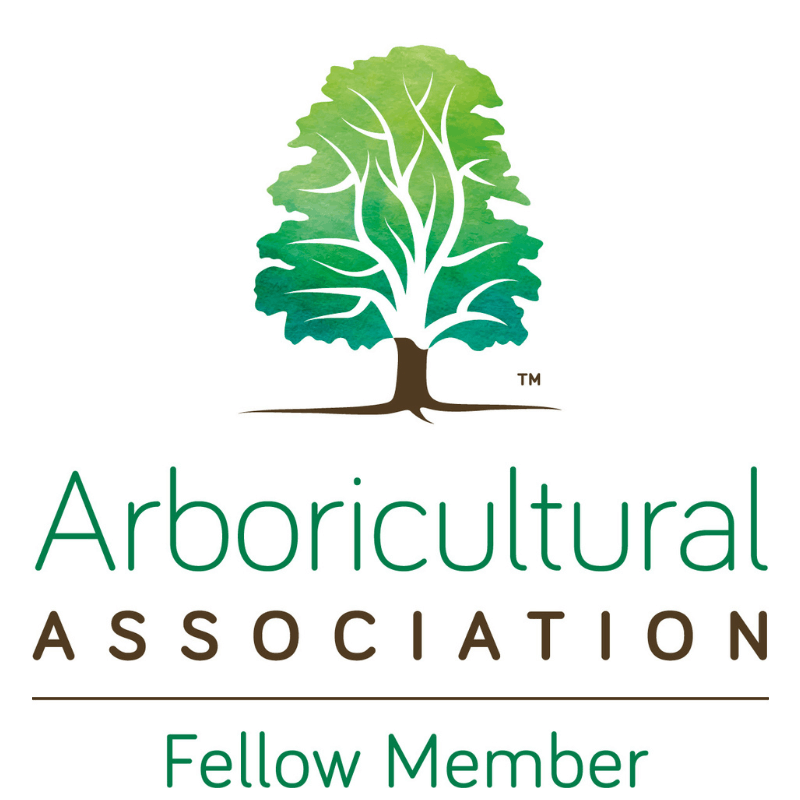 Arboricultural Association Member - Timmins Tree Surgery - Timmins Tree Surgery Ltd. Northumberland Tree Surgeons Arboricultural Association Member - Timmins Tree Surgery